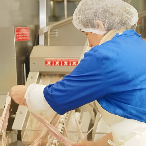 Food Industry 15 Inca11