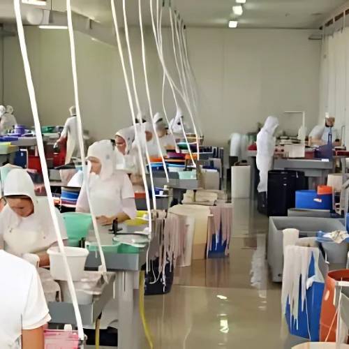 Food Industry 7 Inca8