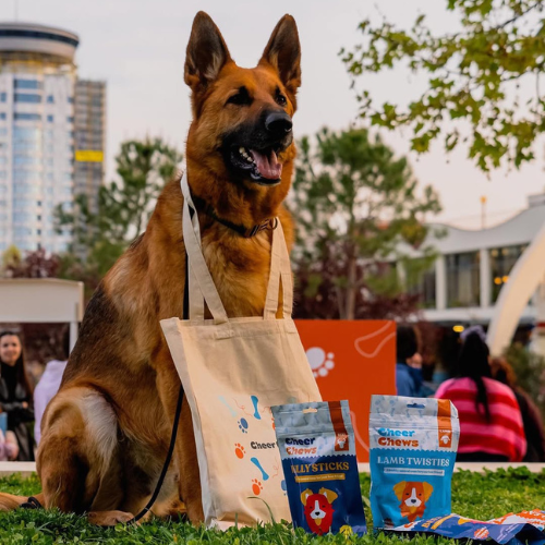 Industria E Ushqimit Për Kafshë Shtëpiake 13 Pet Eat 3